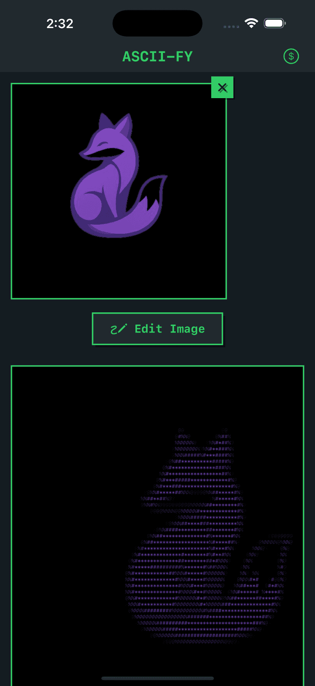 ASCII-FY screenshot 2